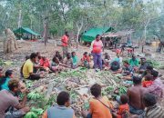 Kekayaan Budaya hingga Kearifan Lokal Papua Integrasi dengan Identitas Indonesia