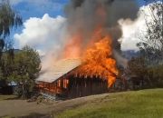 KKB Serang Guru, Pukulan Mundur Peradaban dan Kemajuan Papua