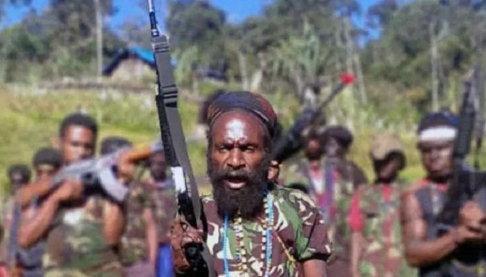 PII: Separatis Manfaatkan Media Internasional untuk Propaganda soal Papua