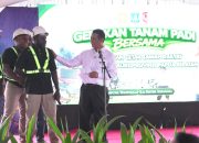Pemerintah Percepat Papua Selatan Jadi Lumbung Pangan Nasional