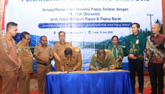 Pemprov Papua Selatan Dorong PLN Perkuat Layanan Listrik untuk Dukung Investasi dan Pembangunan