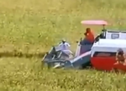 Proyek Sawah 14 Ribu Hektare Digempur di Mimika, Kementan Siap Borong Semua Hasil Panen!