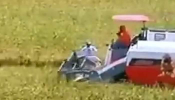 Proyek Sawah 14 Ribu Hektare Digempur di Mimika, Kementan Siap Borong Semua Hasil Panen!