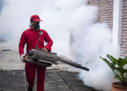 Warga Mimika Bisa Dapat Layanan Fogging dan IRS Gratis untuk Cegah Malaria