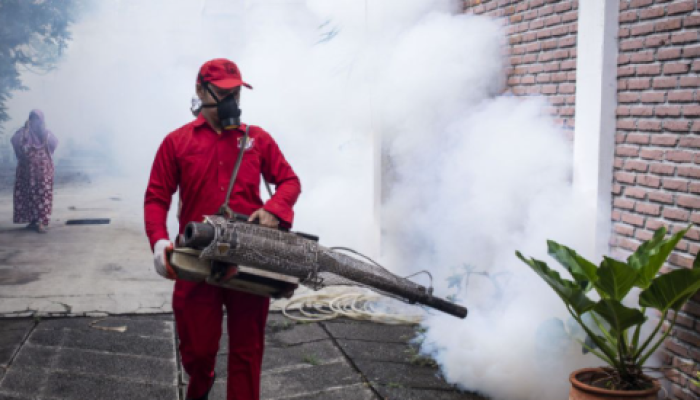 Warga Mimika Bisa Dapat Layanan Fogging dan IRS Gratis untuk Cegah Malaria