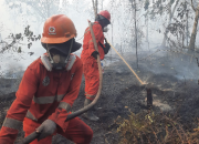 1.923 Hotspot Terdeteksi di Papua Tengah, Nabire Paling Banyak