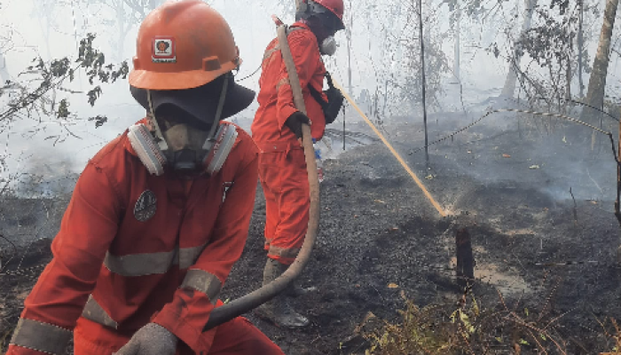 1.923 Hotspot Terdeteksi di Papua Tengah, Nabire Paling Banyak
