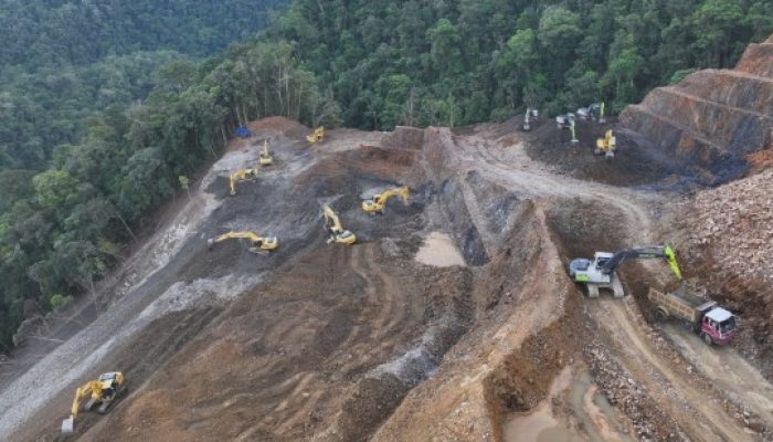Pembangunan Papua Harus Berpihak pada Masyarakat Adat dan Lingkungan