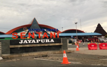 Kabut Asap Karhutla, Trigana Air Tunda Penerbangan ke Empat Wilayah Papua